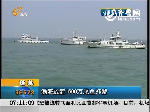 蓬莱：渤海放流1600万尾鱼虾蟹