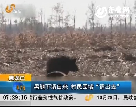 黑龙江：黑熊不请自来 村民围堵“请出去”