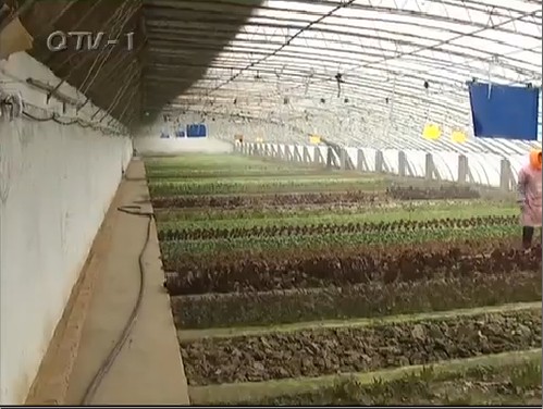 【<em>聊城</em>】<em>莘县</em>加强农业综合执法体系建设确保农