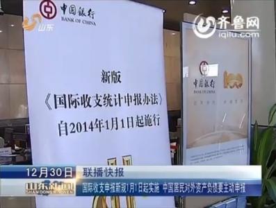 收入证明_国际收入自助申报