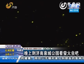 晚上到济南泉城公园看萤火虫吧
