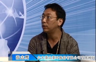 2014中国茶博会齐鲁网专访六大茶山茶叶股份有限公司张志鹰