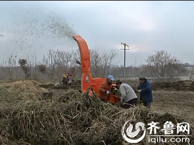 淄博：新技术助力绿色农业 田头废物变“黄金”