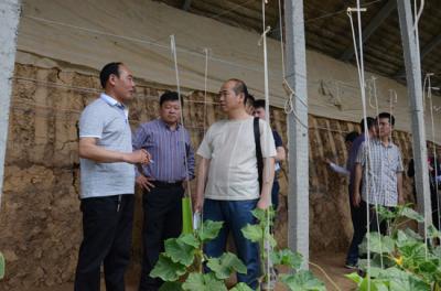 “天下蔬菜看兰陵”采访团走进兰陵县蔬菜生产基地