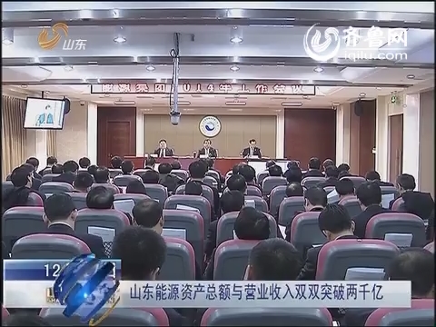 营业执照_营业收入与资产总额(3)