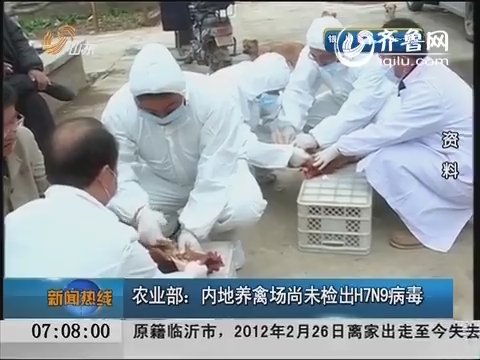 内地养禽场尚未检出H7N9病毒