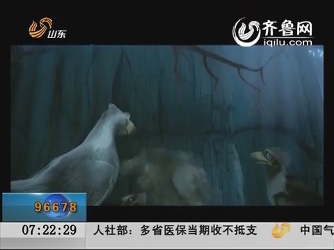 《极地大冒险2》定档大年初三 全家去看卖萌小驯鹿