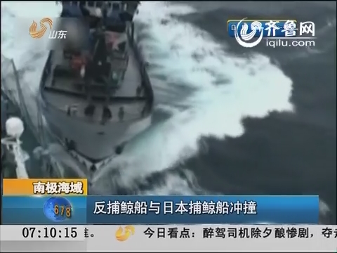南极海域：反捕鲸船与日本捕鲸船冲撞