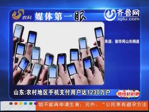 山东：农村地区手机支付用户达1230万户