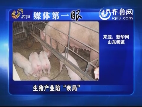 热线村村通：媒体第一眼 生猪产业陷“衰局”