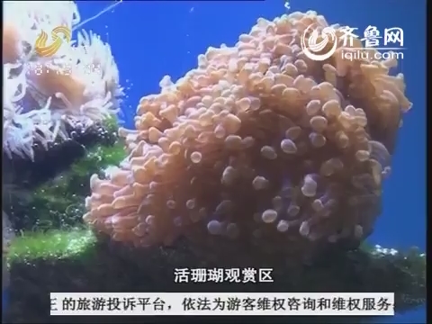 2014年3月5日《旅游天下》：大明湖海底世界（上）