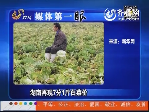 媒体第一眼：湖南再现7分1斤白菜价