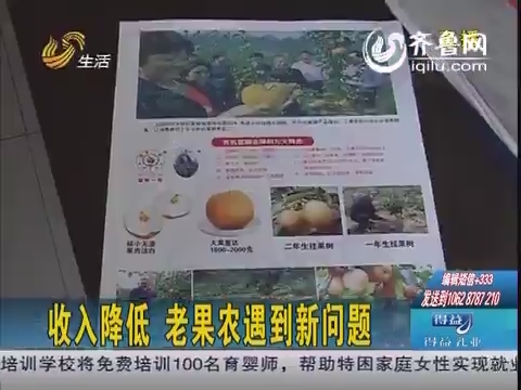 果农店字样图片_果农收入创新高(2)