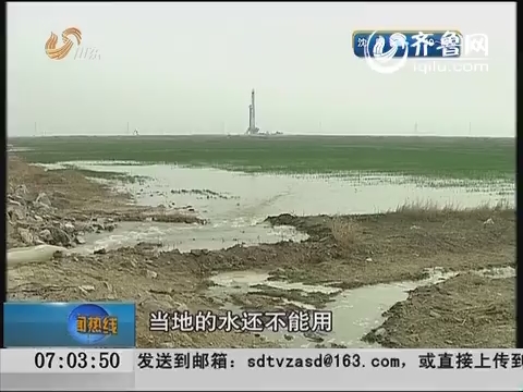盐碱地上的“渤海粮仓” 改良盐碱地 培育耐盐品种是道坎