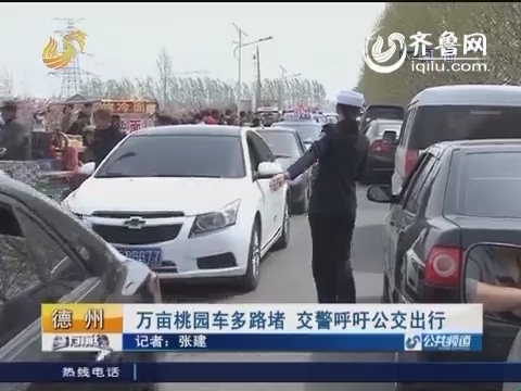 烟台:女子车祸之后辱骂交警 医生确认患精神病