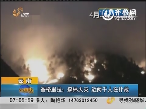 云南：香格里拉：森林火灾 近两千人在扑救