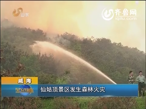 威海仙姑顶景区发生森林火灾 警民联手扑救
