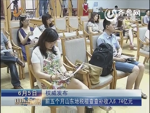 稽查工作规程_稽查查补收入(3)