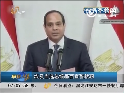 埃及当选总统塞西宣誓就职