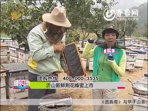 20140706《团购帮》：沂山新鲜荆花蜂蜜上市