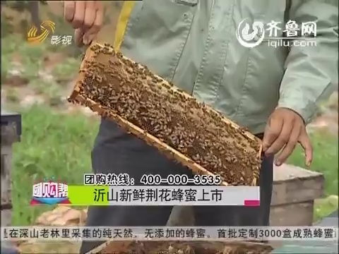 20140712《团购帮》：团购新鲜荆花蜂蜜和纯天然深海小海带