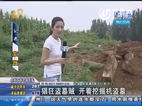 东平：猖狂盗墓贼 开着挖掘机盗墓
