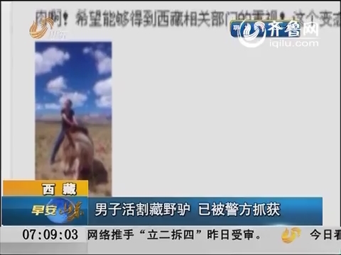 西藏：男子活割藏野驴 已被警方抓获