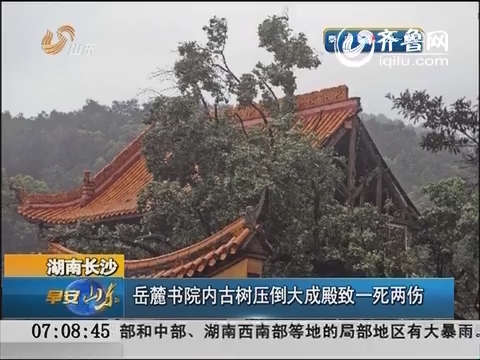 湖南长沙：岳麓书院内古树压倒大成殿致一死两伤