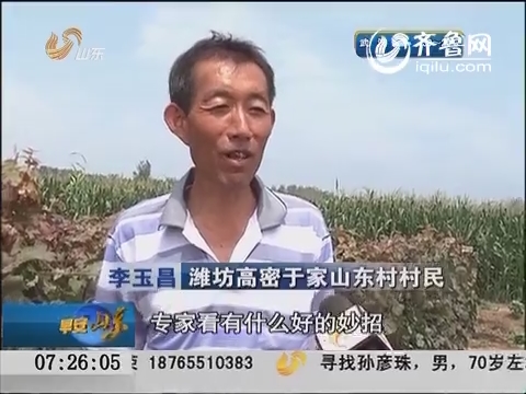 潍坊：鸟儿偷食 村民打响葡萄保卫战