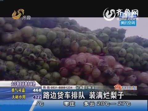 滨州：路边货车排队 装满烂梨子