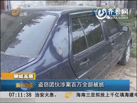 聊城高唐：盗窃团伙涉案百万全部被抓
