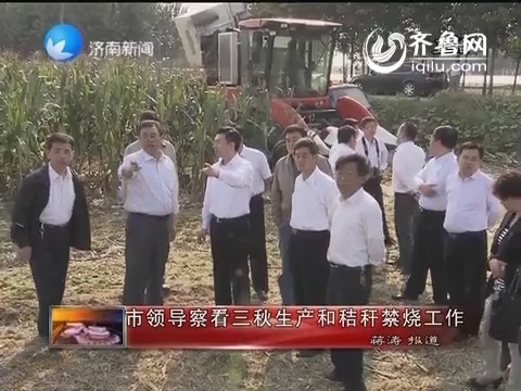 济南市领导察看三秋生产和秸秆禁烧工作