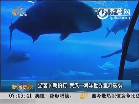 游客长期拍打 武汉一海洋世界鱼缸破裂