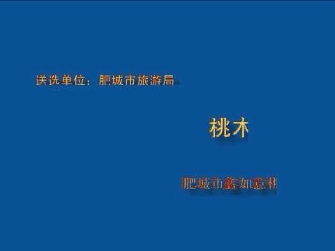 2014山东省民间手工艺制作大师参评视频——于为刚（工艺类别：木雕）