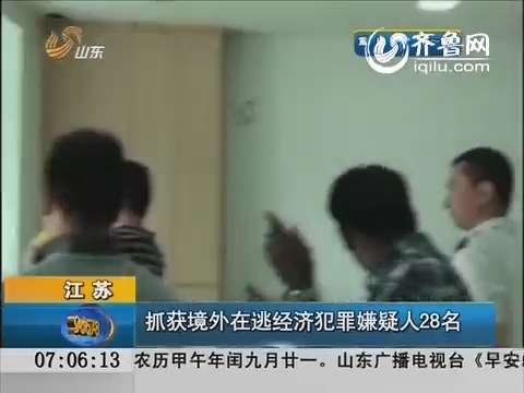 江苏：抓获境外在逃经济犯罪嫌疑人28名