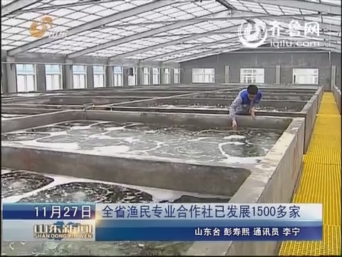 山东省渔民专业合作社已发展1500多家