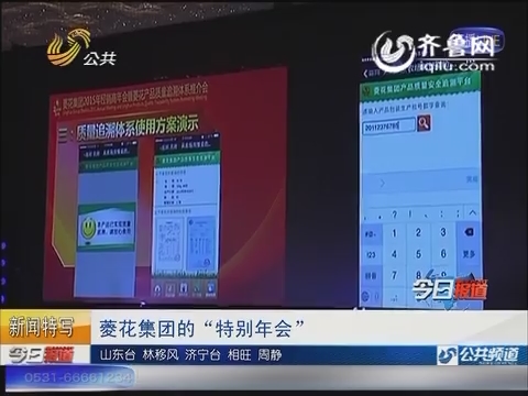 收入证明_菱花集团 2017 收入