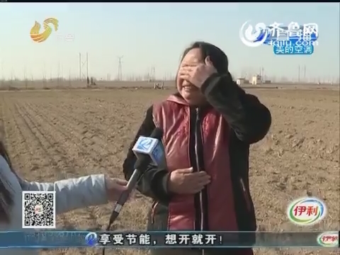 聊城：农妇家15亩麦苗全部死亡 原因仍在调查当中