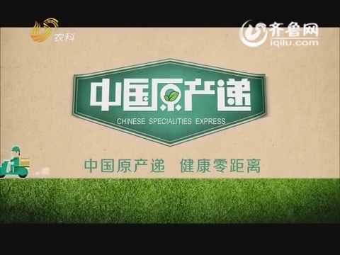 中国原产递之吃货挑食团:美食达人制作红烧猴头菇_中国原产递_农科频道_山东网络台_齐鲁网