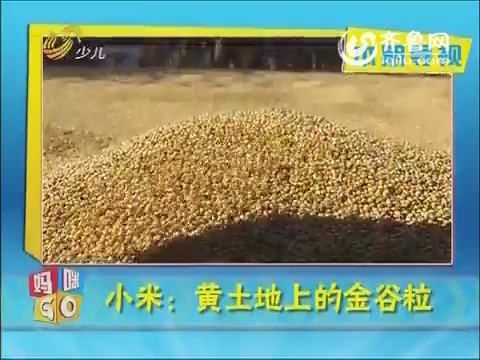 20150326《妈咪GO》：有机小米：黄土地上的金谷粒