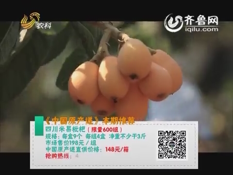 20150403《中国原产递》:四川米易枇杷_中国