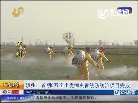 滨州：首期8万亩小麦病虫害统防统治项目完成
