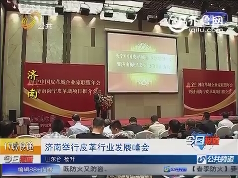 济南举行皮革行业发展峰会