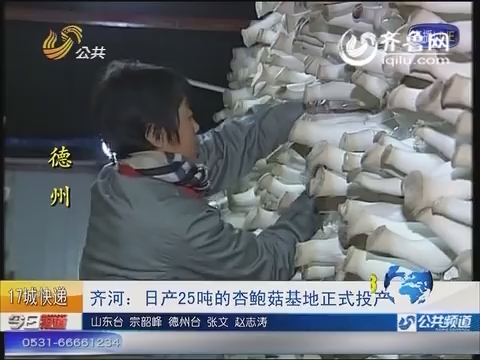 17城快递：齐河：日产25吨的杏鲍菇基地正式投产