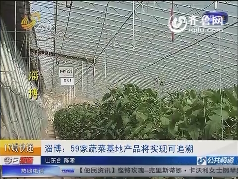淄博：59家蔬菜基地产品将实现可追溯