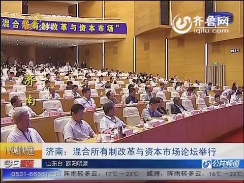 济南：混合所有制改革与资本市场论坛举行