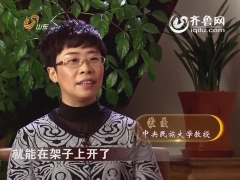 20150531《新杏坛》：“中式生活”系列节目之诗歌趁年华
