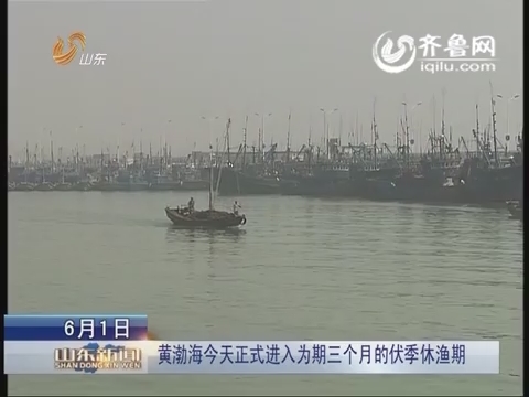 黄渤海6月1日正式进入为期三个月的伏季休渔期