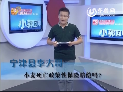 小郭回电:小麦死亡政策性保险赔偿吗?_热线村