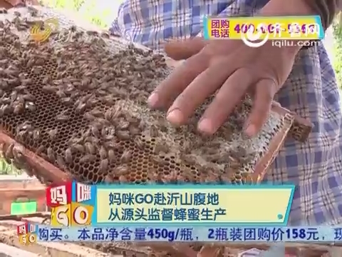 20150820《妈咪GO》：沂山天然成熟蜂蜜